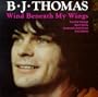 Wind Beneath My Wings