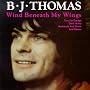Wind Beneath My Wings
