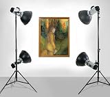 Photo : ALZO 2000 HMI Repro Kit - 4 lights & 2 stands - very bright HMI lights for high resolution scanning back cameras used in commercial photography of medium to large artworks