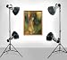 ALZO 2000 HMI Repro Kit - 4 lights & 2 stands - very bright HMI lights for high resolution scanning back cameras used in commercial photography of medium to large artworks