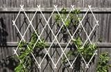 Lattice Trellis - Wall Mounted, by Achla Designs