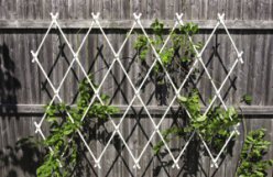 Lattice Trellis - Wall Mounted, by Achla Designs