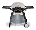 Weber 586002 Q 320 Portable Outdoor Gas Grill