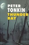 Thunder Bay (Severn House Large Print)