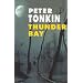 Thunder Bay (Severn House Large Print)