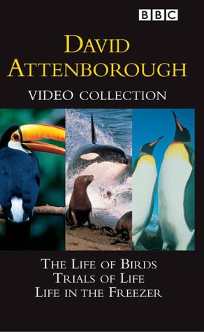 Buy David Attenborough Collection -- Trials of Life, Life in the Freezer, Life of Birds [VHS]:  David Attenborough,
