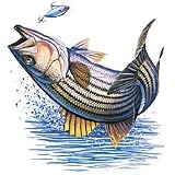 Striper-Fish Adult T-Shirt