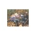 Opportunity Knocks Jigsaw Puzzle 1000pc