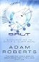 Salt (Gollancz S.F.)