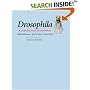 Drosophila: A Laboratory Handbook