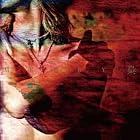 ��(�������������A)(DVD��)(�߸ˤ��ꡣ)