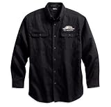 Harley Davidson Screamin
