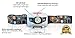 Headlamp LED Flashlight with Batteries - Best Waterproof Camping & Hiking Equipment - Adjustable, Comfortable Head Strap - Bright White and Red Strobe Lights for Kids, Dog Walking, Running, Bike & Work Light - FREE Bonus LED Keychain