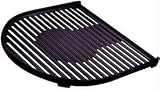 Coleman Cast-Iron RoadTrip&reg; Grill