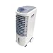 Fujitronics Whirlwind 4-in-1 Portable Swamp Cooler
