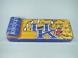 66x27X5 Pool Float Kentucky Wildcats