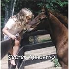 Click here to buy Secret Anadarko by  E.L. Pace .