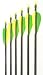 Sporting Goods : Fiberglass Arrows 6-pack