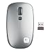 Logitech V550 Nano Cordless Laser Mouse for Laptops Grey