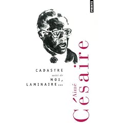 Cadastre : Suivi de Moi, Laminaire...