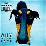 Why the Long Face