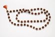 Full Rudraksha Beads & Crystal Combination Yoga Meditation Rosary Shiva Mala 108+1 Beads