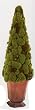 30" LG MOSS CONE TOPIARY.