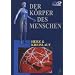 Der Körper des Menschen 3 - Herz und Kreislauf