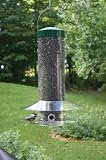 Hanging 20 Classic Feeder w/Baffle-Green