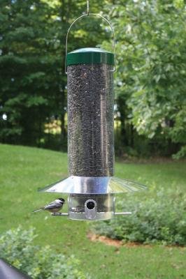 Hanging 20 Classic Feeder w/Baffle-Green