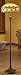 Quoizel  Tiffany - style Floor Lamp