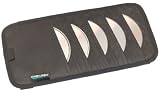 Case Logic AV-10 Automotive 10-CD Visor (Black)