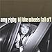 Amy Rigby, Til the Wheels Fall Off, 発売中