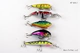 Lot of 5 Crankbait Fishing Lures for Bass Trout A
