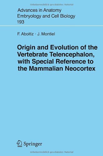 Origin and Evolution of the Vertebrate Telencephalon, with Special Reference to the Mammalian Neocortex: 193 (Advances in Anatomy, Embryology and Cell Biology)