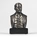 Theodore Roosevelt Bust Great Americans -Perfect Holiday Gift