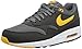 Nike Men's Air Max 1 Essential Running Shoe