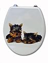 WC-Sitz Toilettendeckel Klodeckel Klobrille Yorkshire Terrier