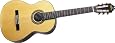 Washburn Classical Series Acoustic Guitar