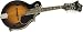Musical Instruments : Epiphone MM-50 F-Style Mandolin, Vintage Sunburst