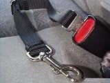 The Ultimate Seat Leash Auto-Safety Restraint