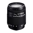 Sony SAL18250 Alpha DT 18-250mm f/3.5-6.3 High Magnification Zoom Lens w/Lens Hood