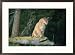 A captive male mountain lion sits atop the trunk of a fallen tree Animals Framed Art Poster Print by Norbert Rosing, 29x21
