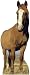Horse Life-Size Standup Poster