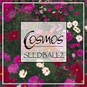 Seedballz Cosmos