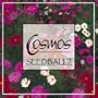 Seedballz Cosmos