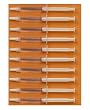22% 10 Syringe Kit & Custom Made Teeth Whitening Trays