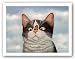 Hugo Hege by Lowell Herrero 9.5"x7.5" Art Print Poster