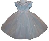Blue Princess Tulle Dress Size 2 (1102)