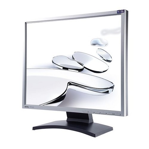 BenQ FP93G - Flat panel display - TFT - 19 - 1280 x 1024 - 300 cd/m2 - 700:1 - 6 ms - 0.294 mm - DVI-D, VGA - silver black